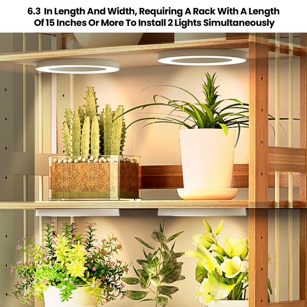 Mosthink clear diffuser close-up revealing bright transmission for healthier leaves