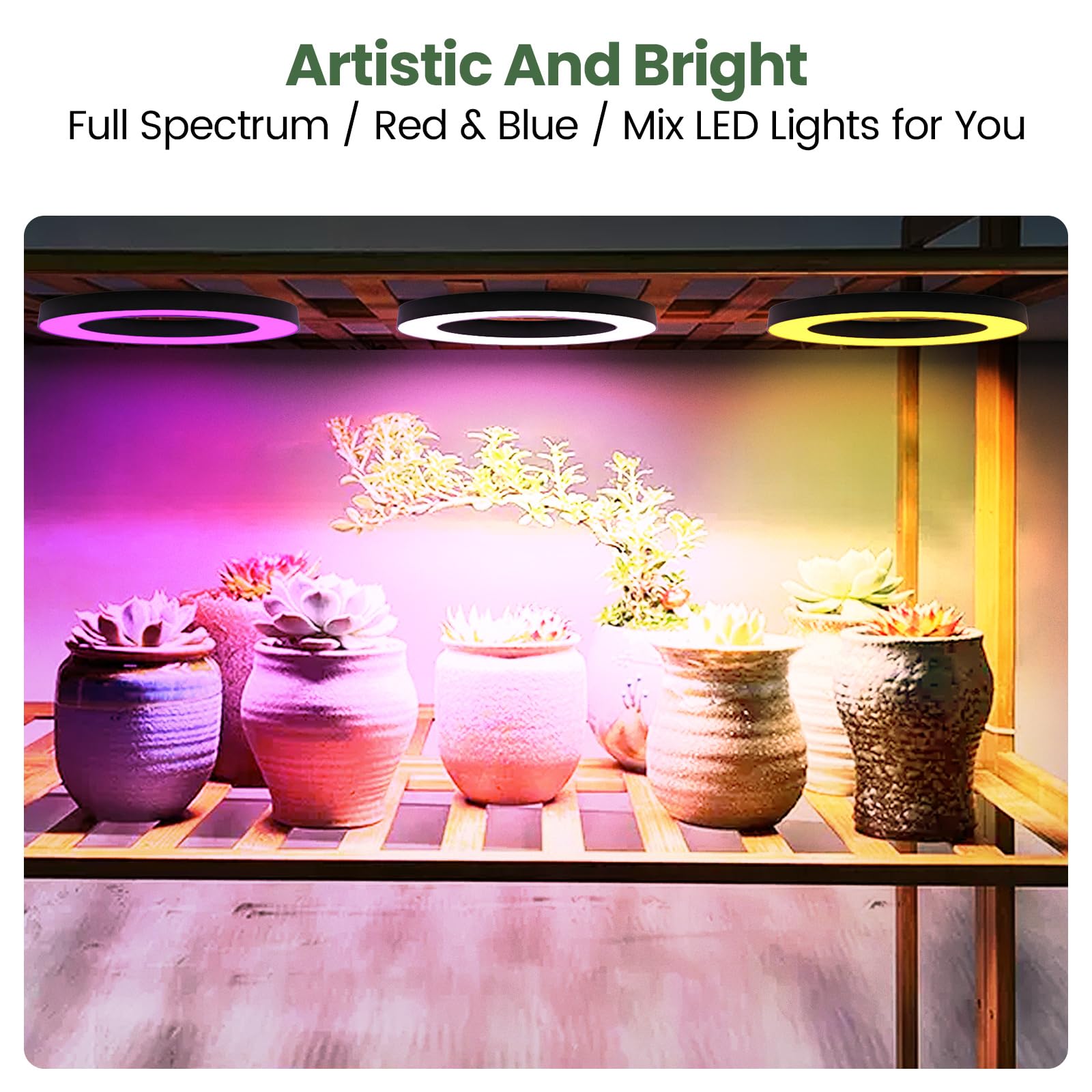 Mosthink installed under shelf optimizing vertical space for plants