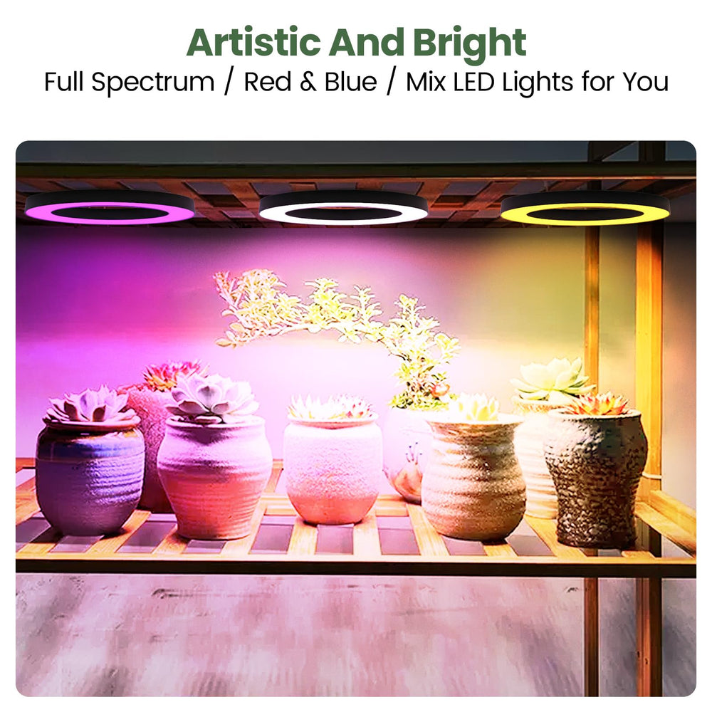 Mosthink installed under shelf optimizing vertical space for plants