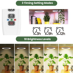 Mosthink LED array detail highlighting 288 chips for even plant illumination
