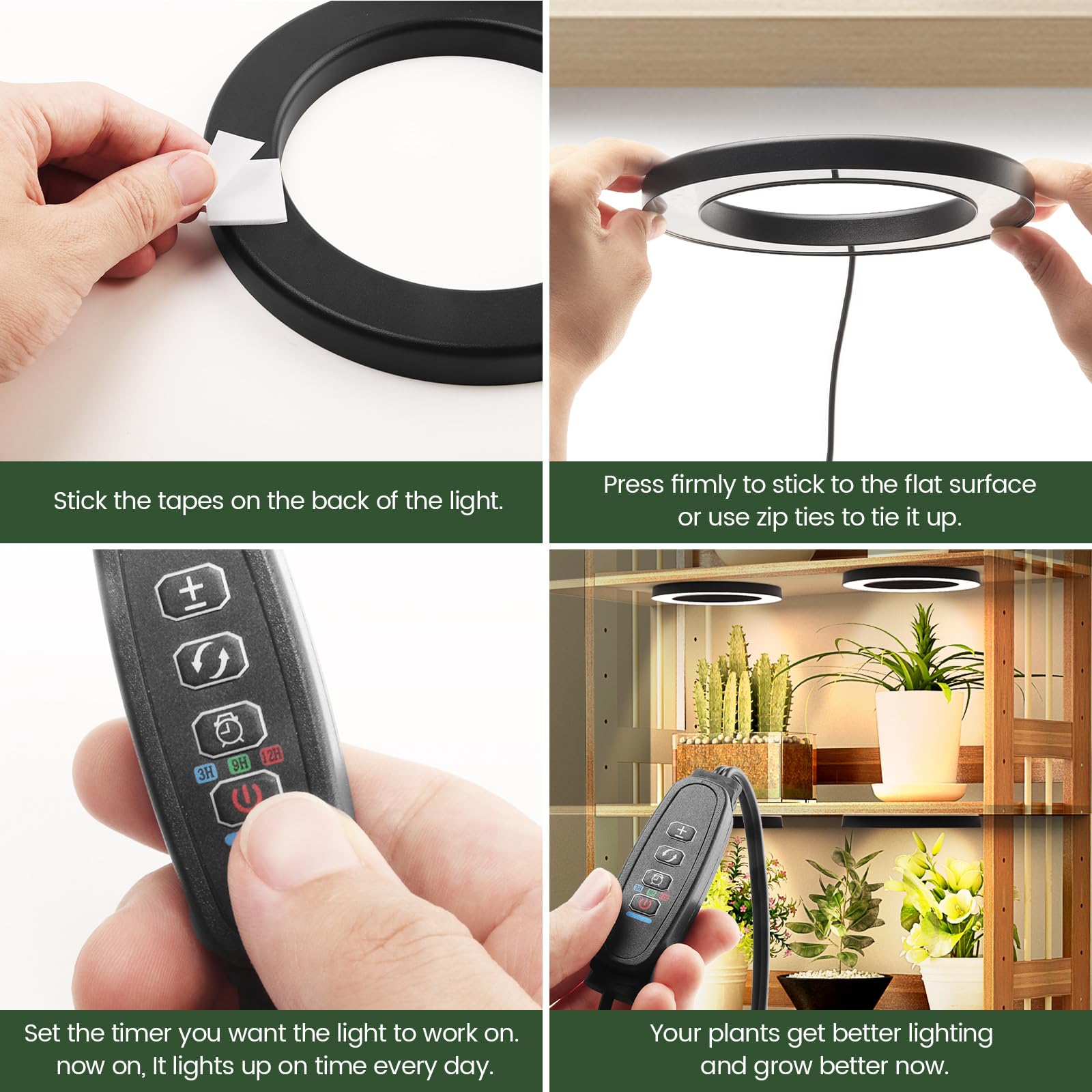Mosthink in office lifestyle scene enhancing indoor plant growth