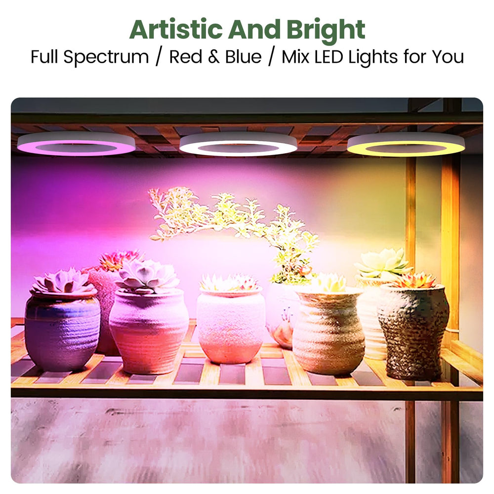Mosthink mounted under shelf with plants benefiting from directed light