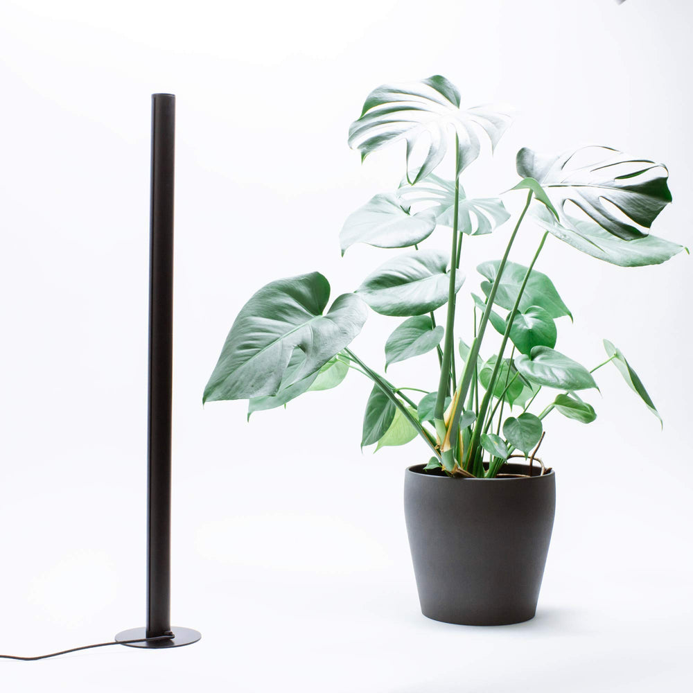 MOTHER PlantSpectrum32 close-up of LED array highlighting high-density light output