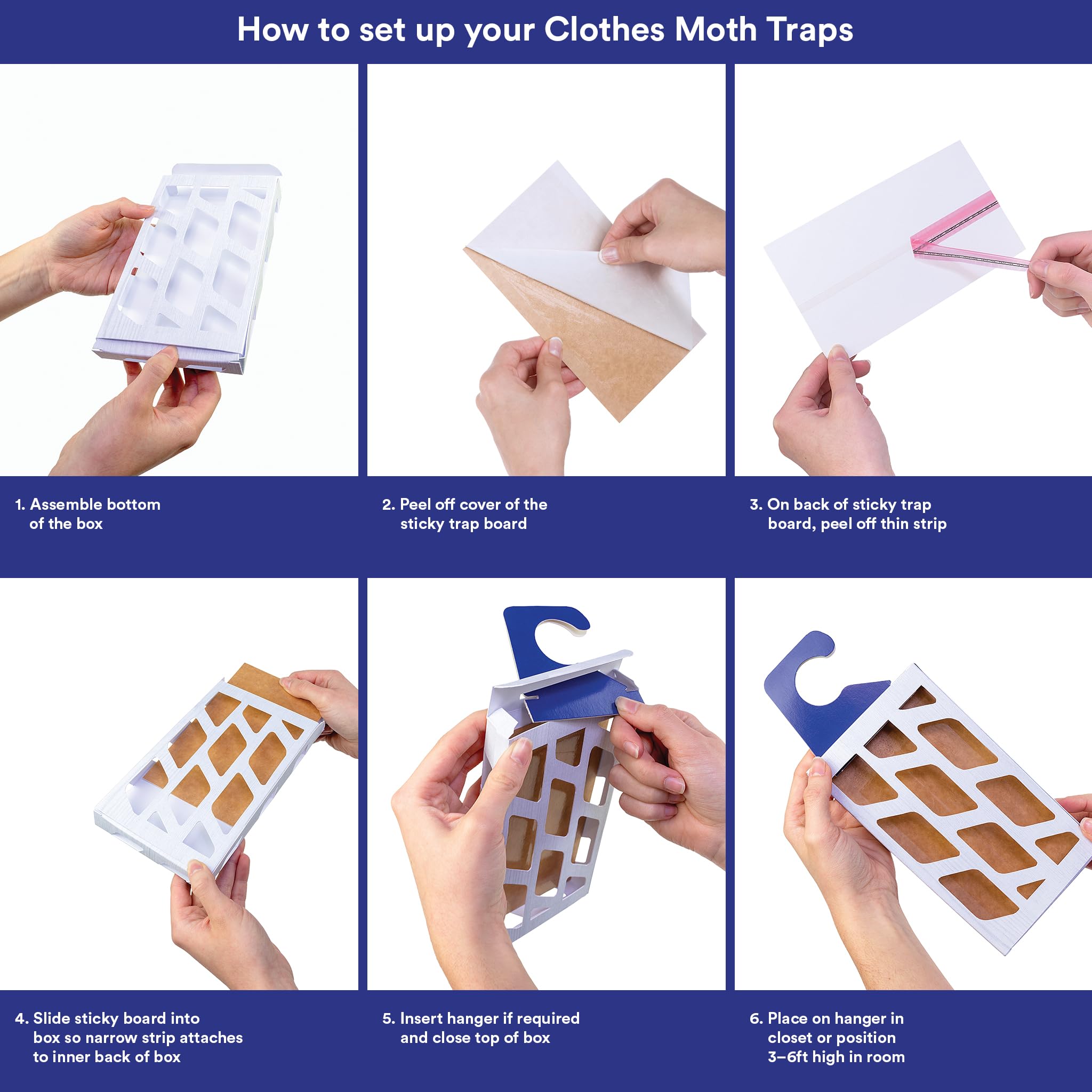 MothPrevention trap interior with captured moths showing effective results