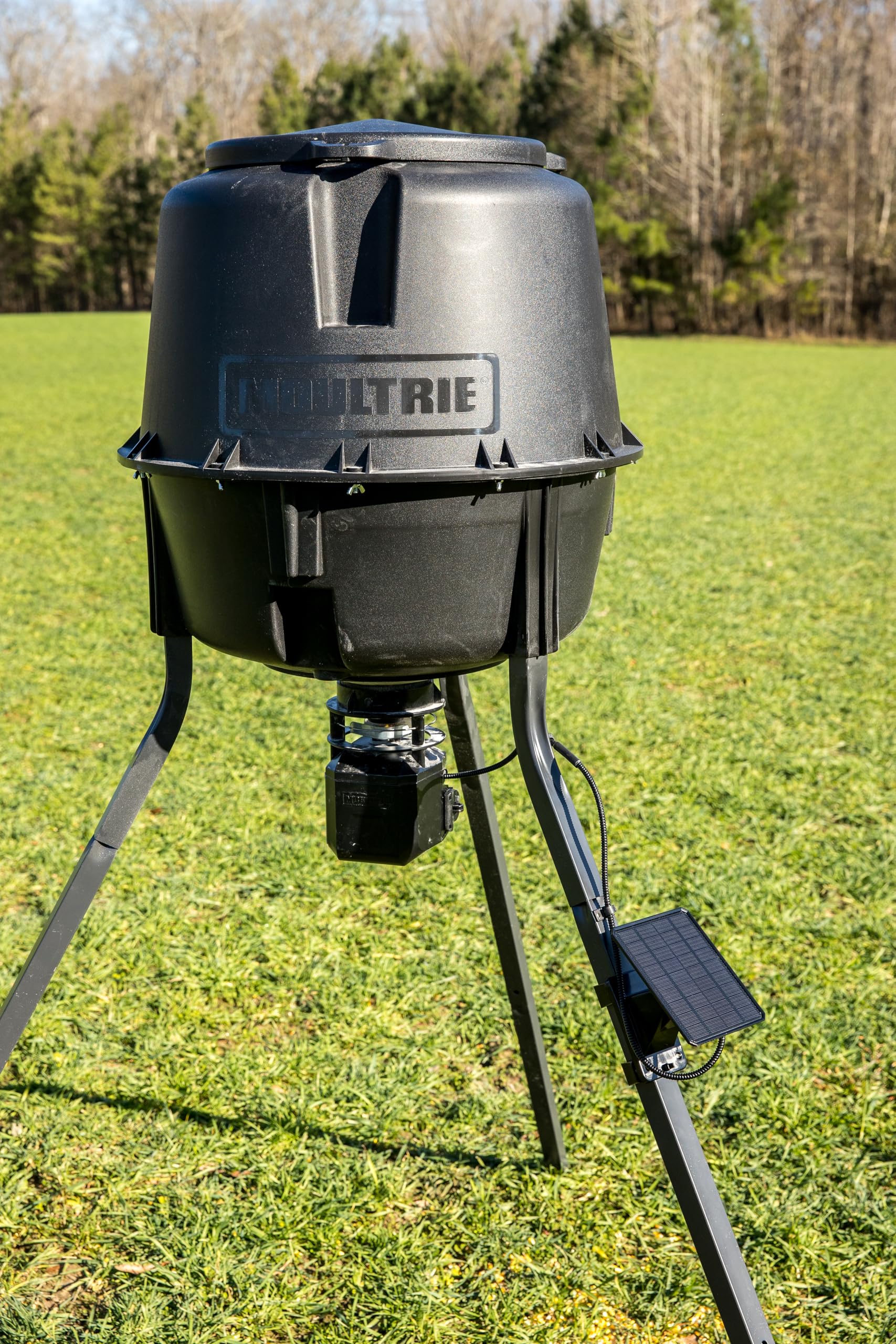 Moultrie solar panel installed in a field setting providing low-maintenance feeder power