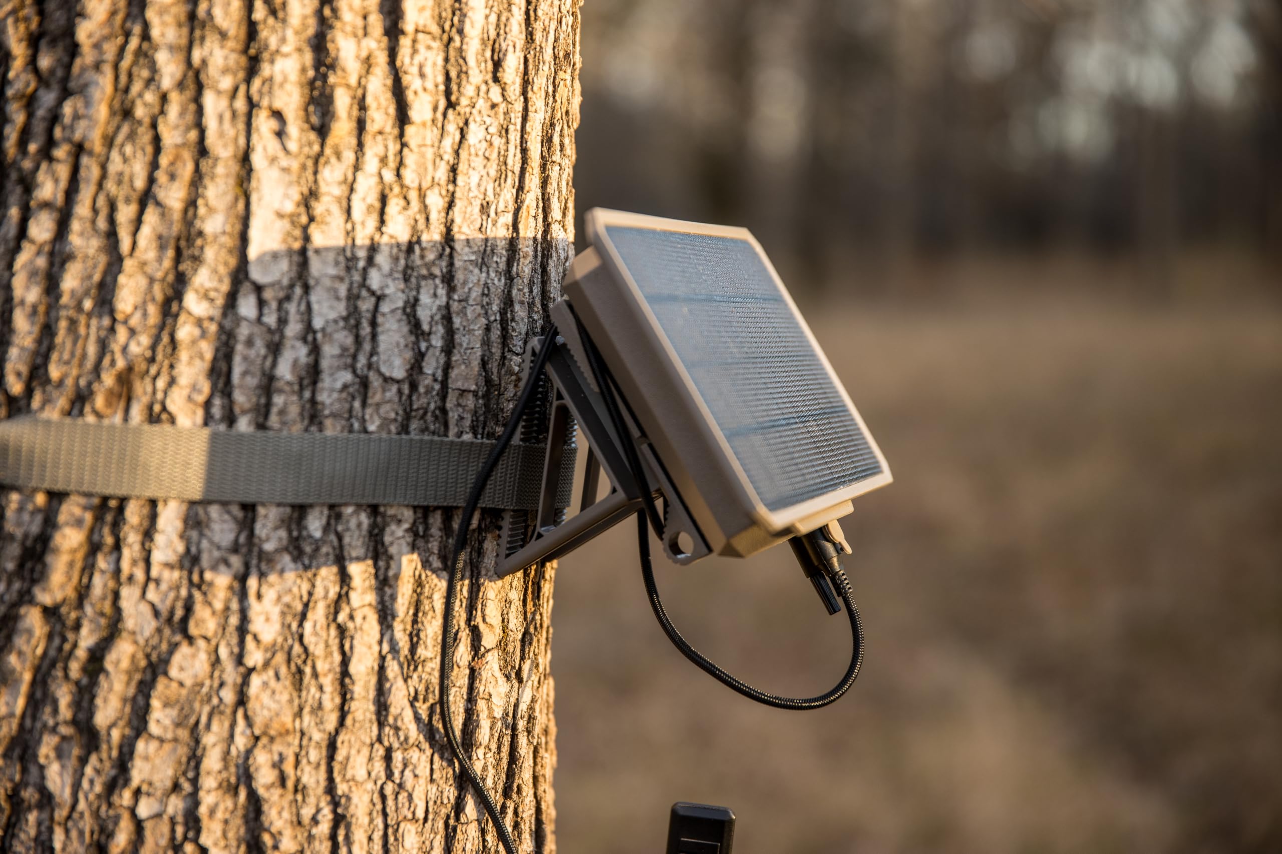 Moultrie held in hand to show compact scale and easy installation