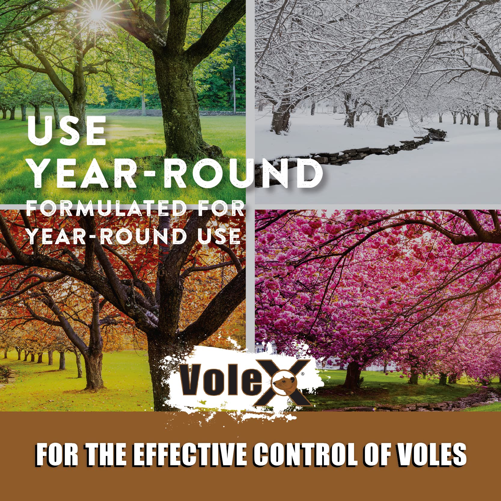 MouseX VoleX open bag showing pellet texture for consistent performance