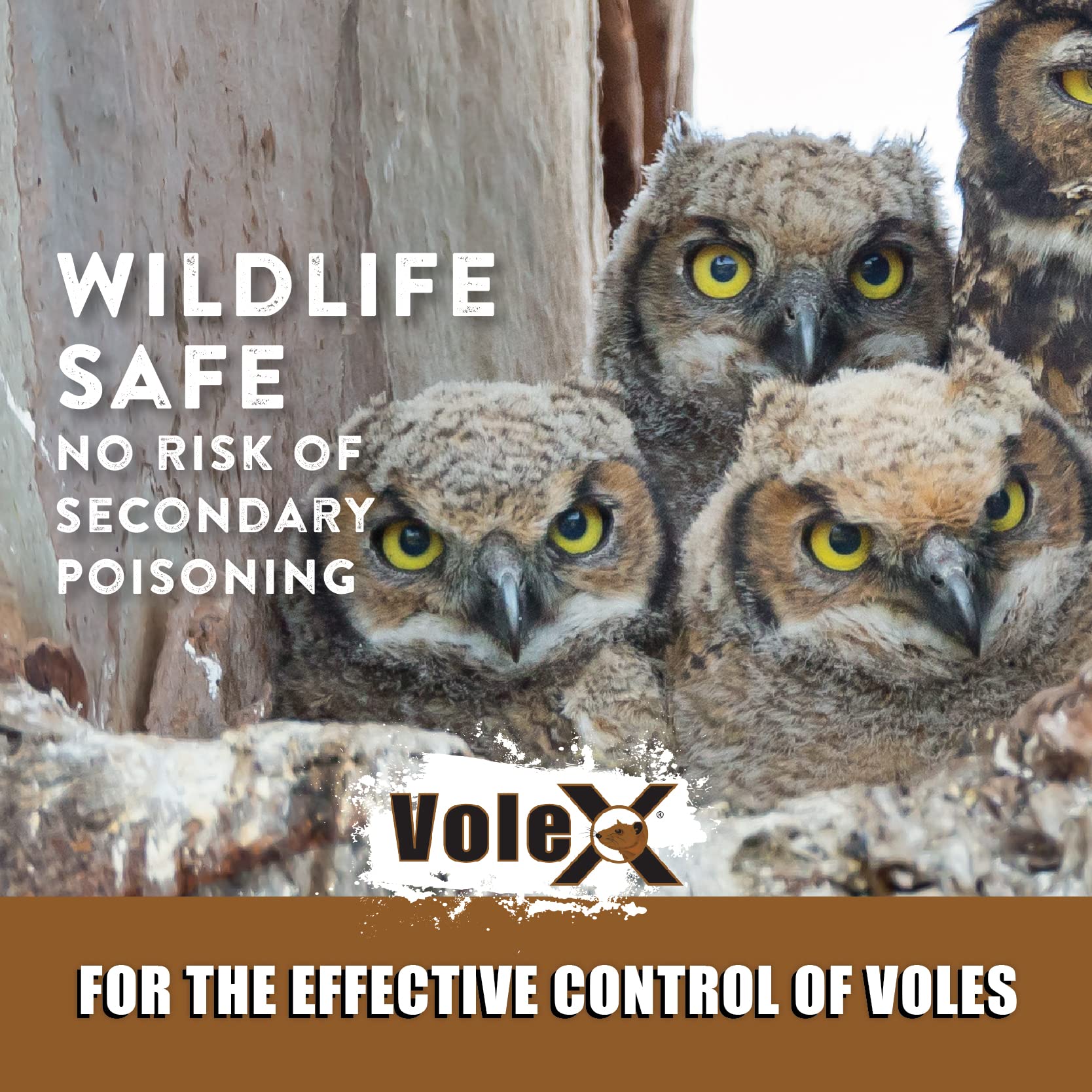 MouseX VoleX applied on a lawn demonstrating landscape protection