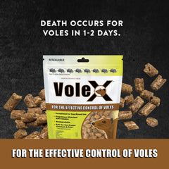 MouseX VoleX pellet close-up showing texture for reliable ingestion