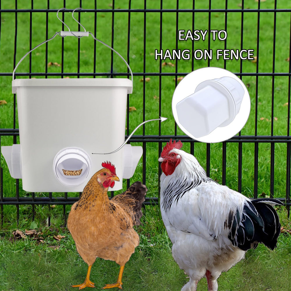 mozoba feeder and waterer mounted in a coop demonstrating tidy, low-maintenance setup