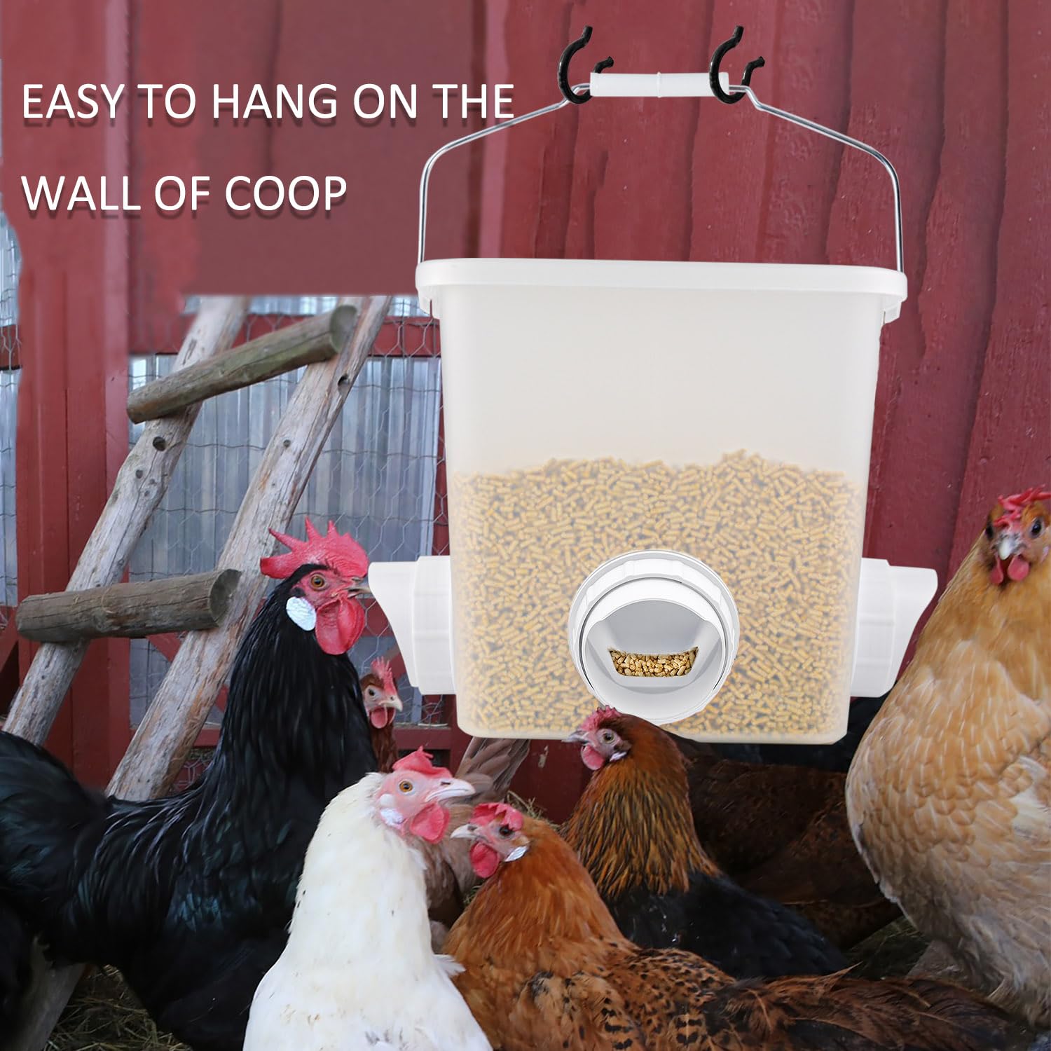 mozoba feeder in a coop with chickens illustrates clean organized feeding