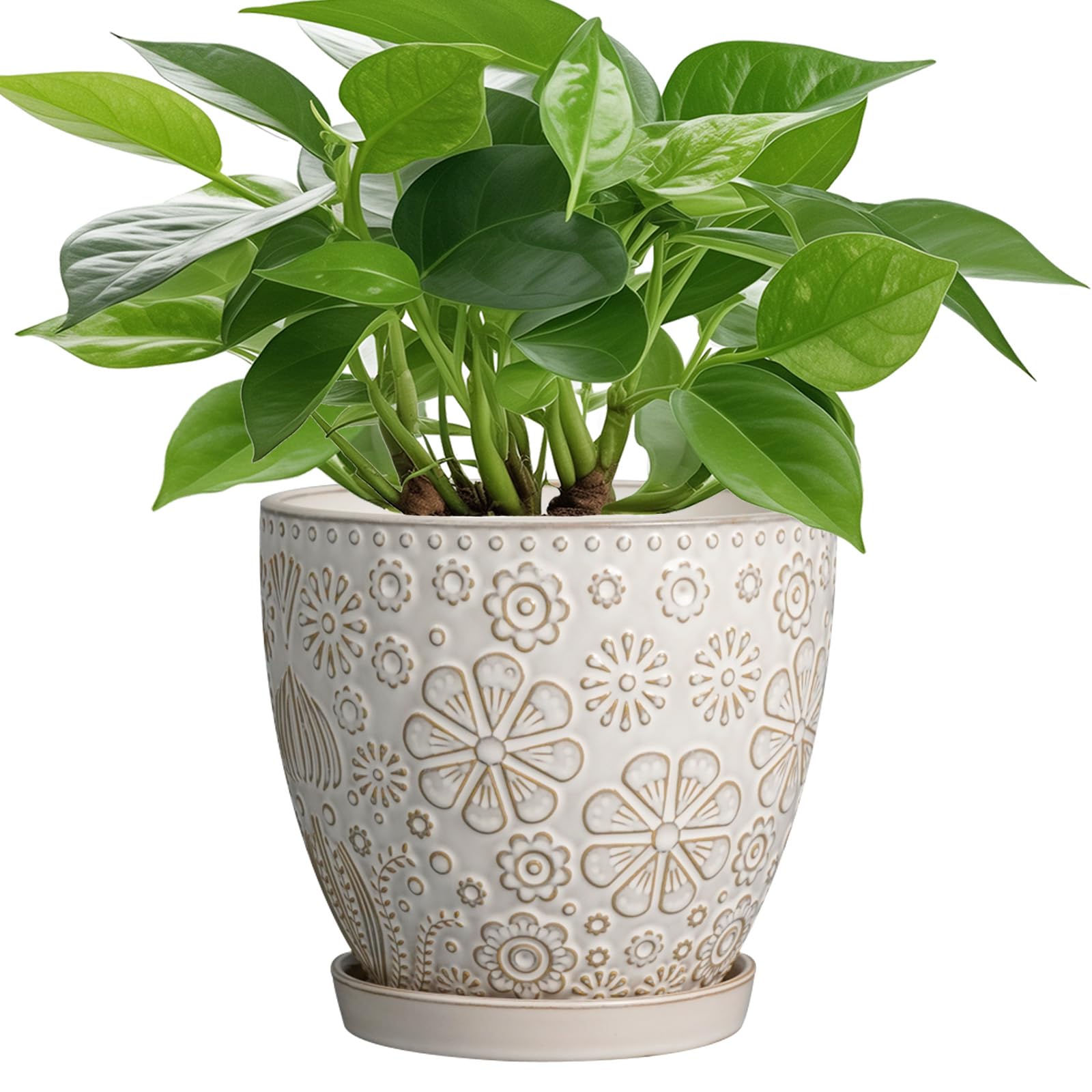 MPotTo front view of white ceramic pot showing elegant silhouette and instant decor uplift