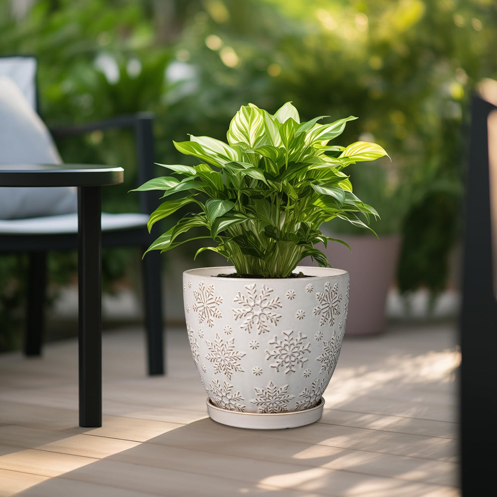 MPotTo planter next to ruler showing 10-inch diameter scale and fit