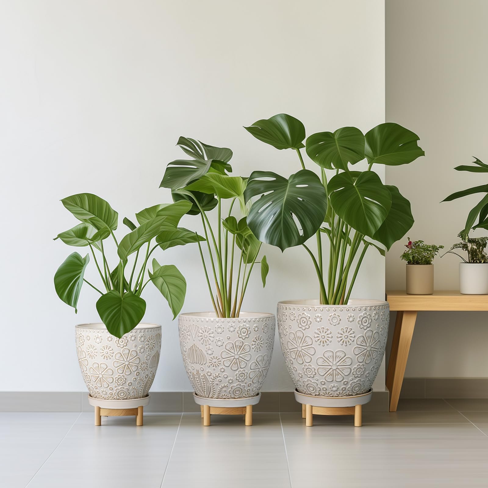 MPotTo styled tabletop group display showing coordinated decor and visual harmony