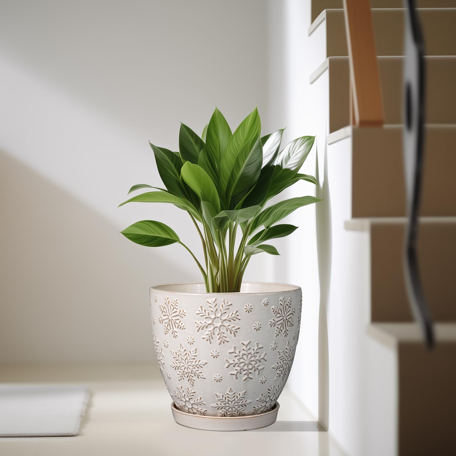 MPotTo glaze and texture detail showing durable ceramic finish and easy care