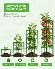 MQHUAYU cage installed in raised bed holding plants upright and accessible