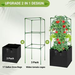 MQHUAYU cage installed around tomato plant, keeps vines upright and organized