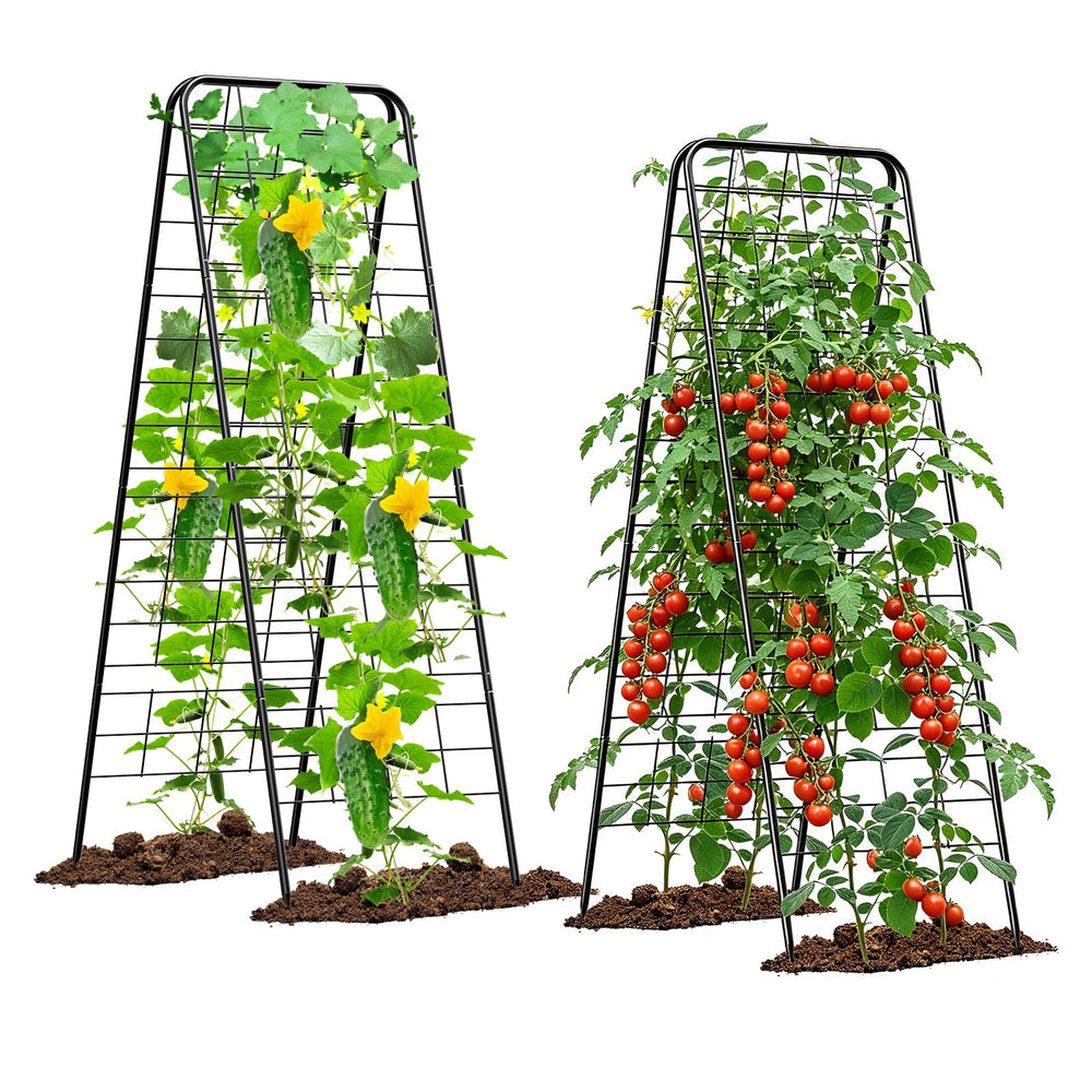 MQHUAYU front view of A-frame trellis showing stable garden support