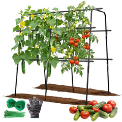 MQHUAYU front view of A-frame trellis showing vertical growing advantage