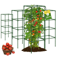 MQHUAYU front view assembled cage showing sturdy support and clear structure