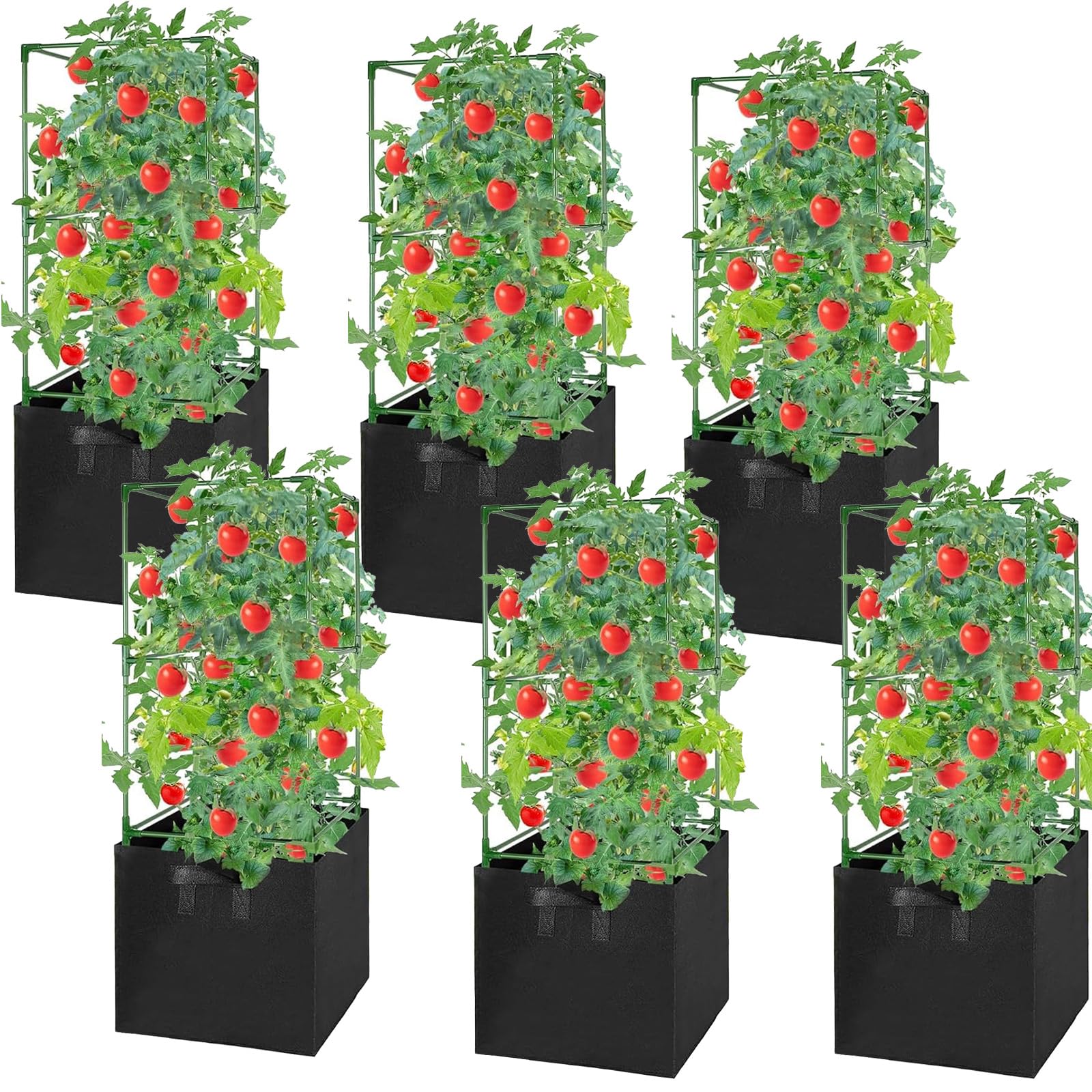 MQHUAYU front view showing cage and grow bag, sturdy support for tall plants