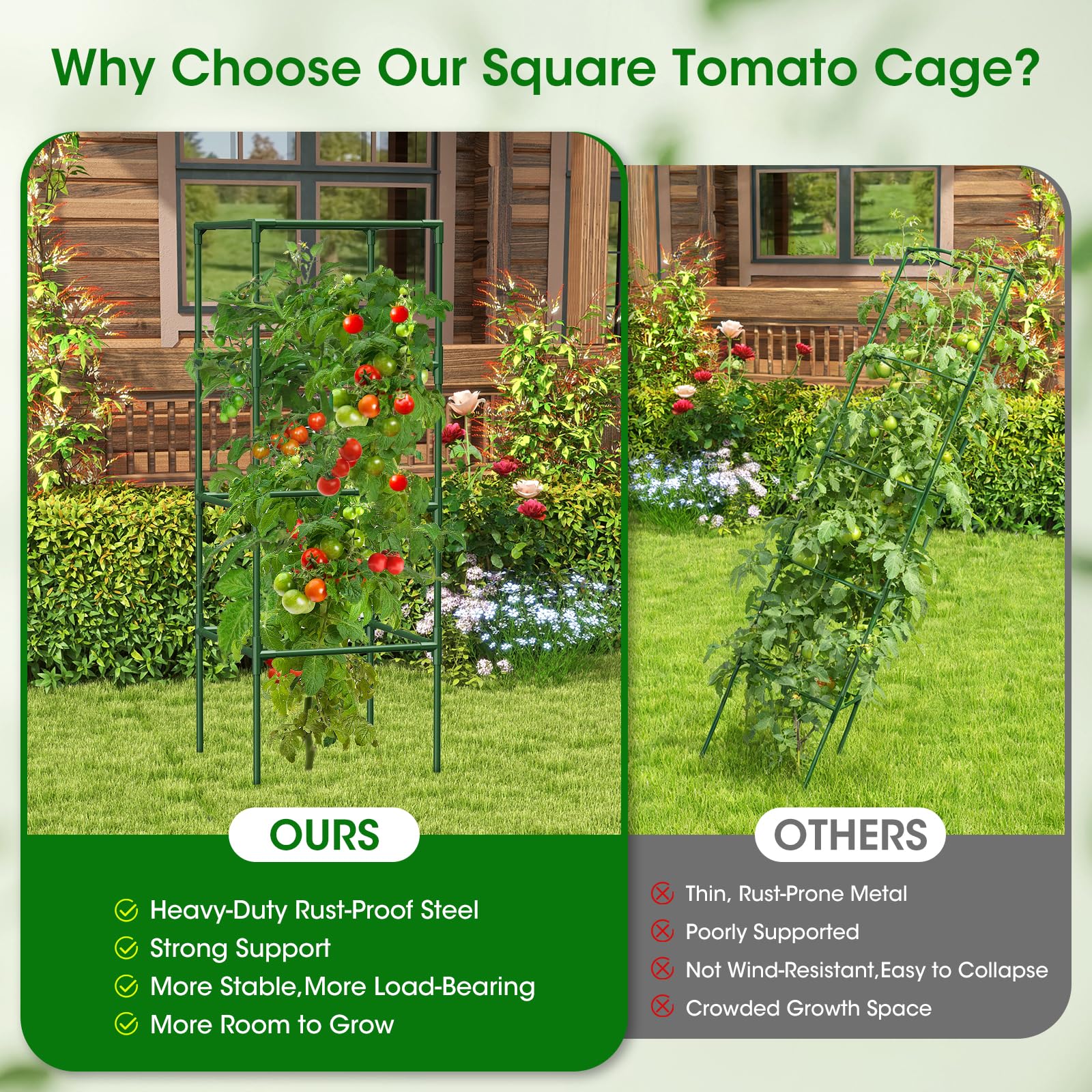 MQHUAYU square grid spacing showing easy access for pruning and harvesting