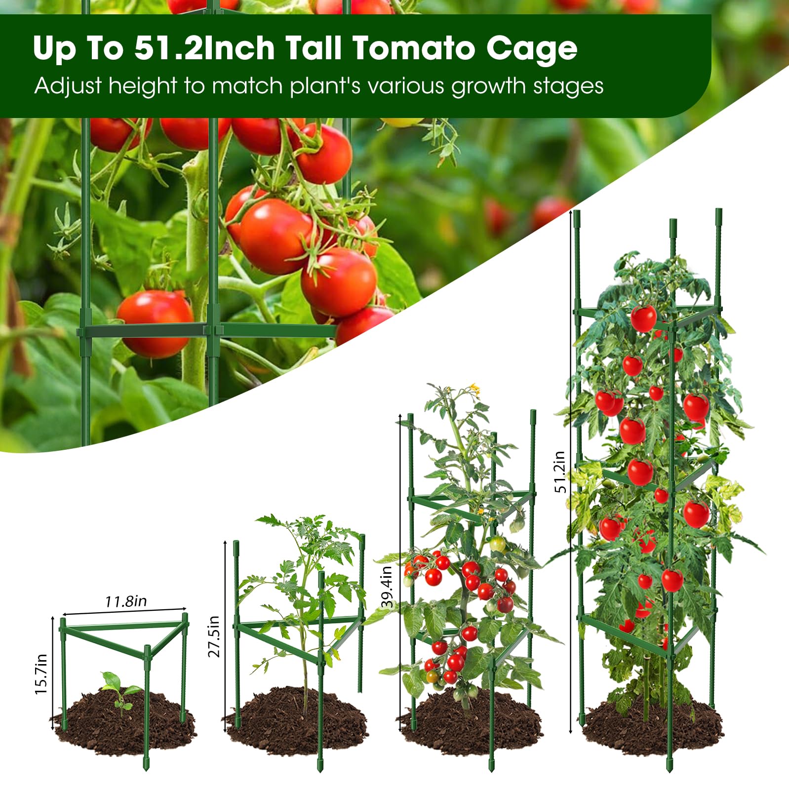 MQHUAYU tall assembled cage at full 51.2 inches showing robust support for mature plants