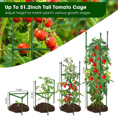 MQHUAYU tall assembled cage at full 51.2 inches showing robust support for mature plants
