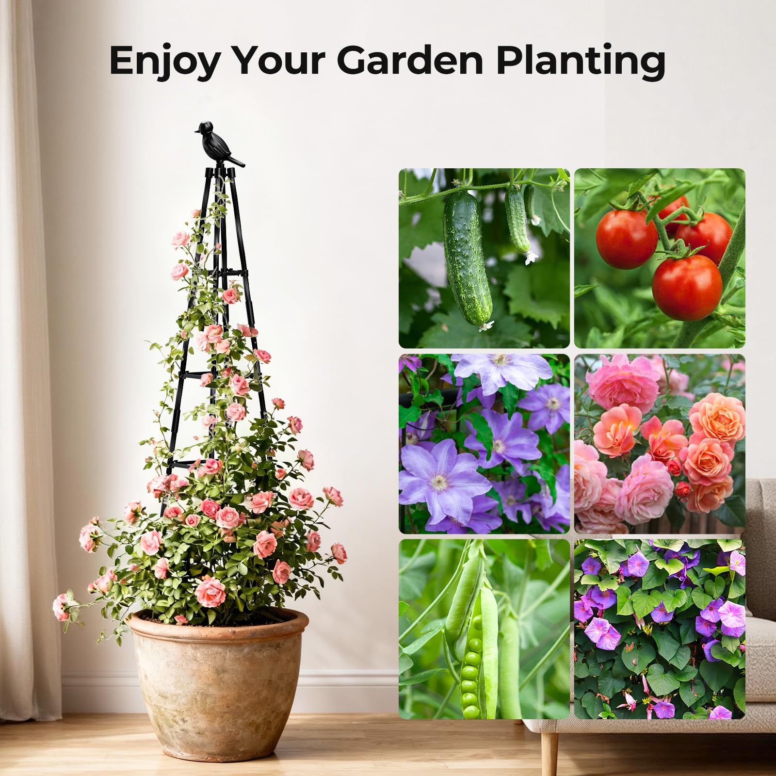 MQHUAYU patio scene showing trellis enhancing plants and decorative garden appeal