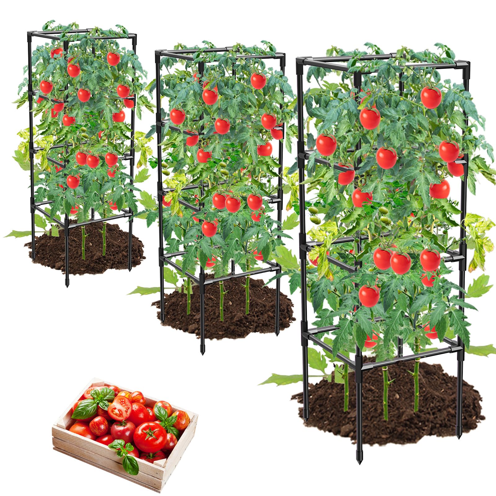 MQHUAYU front view of three black square tomato cages showing sturdy structure and space