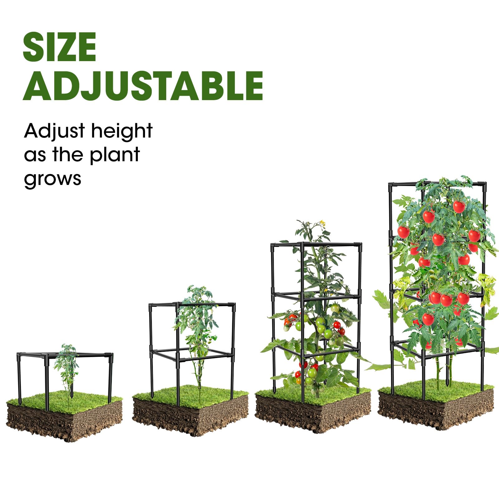 MQHUAYU cage holding ripe tomatoes illustrating fruit support and easier harvest