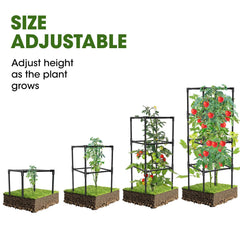 MQHUAYU cage holding ripe tomatoes illustrating fruit support and easier harvest