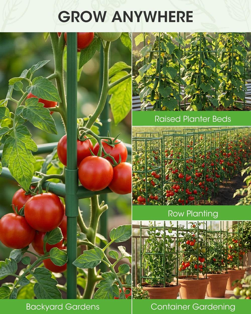 MQHUAYU tomato plants heavy with fruit supported by the extra-bold cage