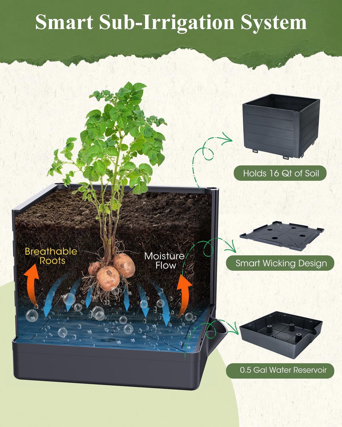 MQHUAYU top view showing deep soil capacity for larger root systems and stability