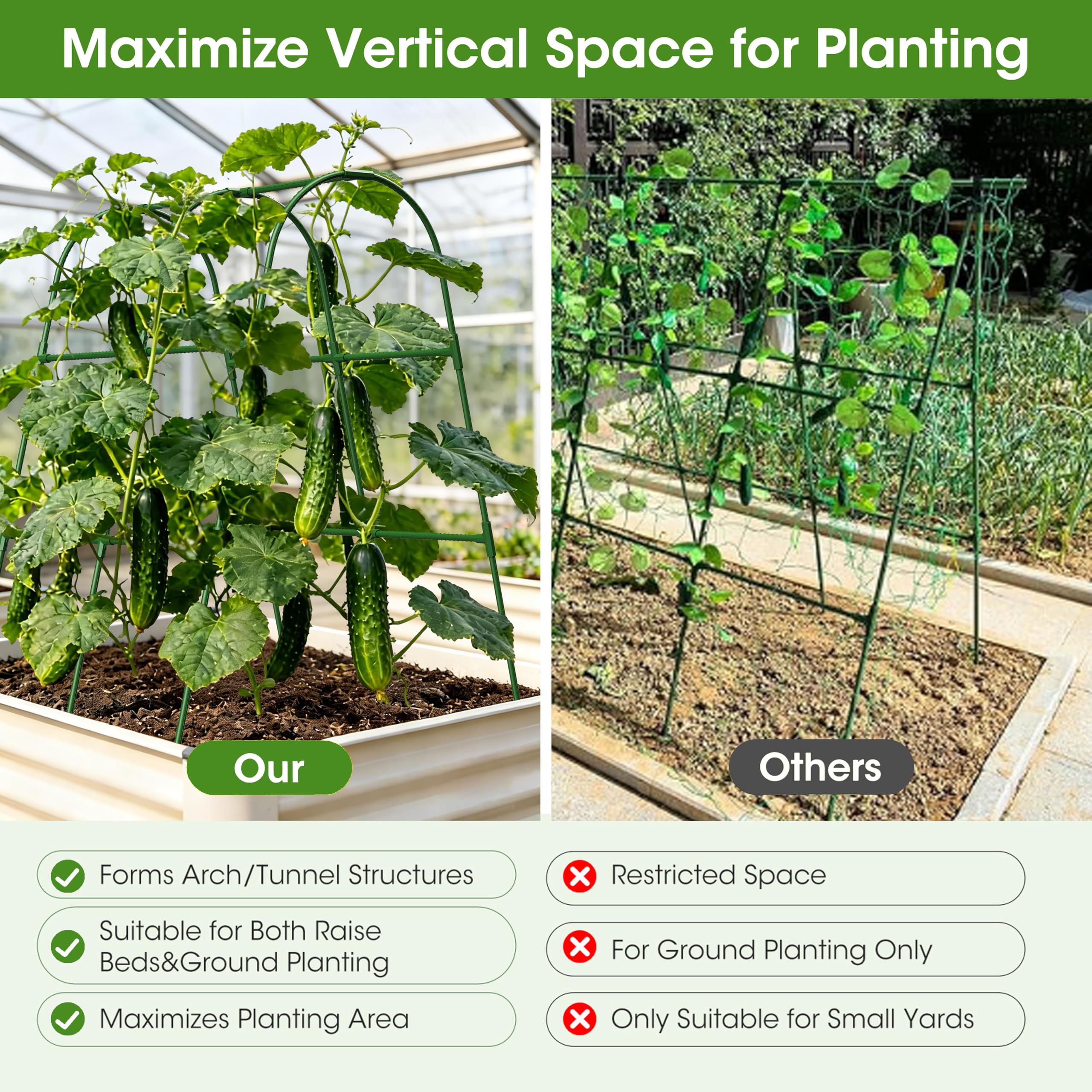 MQHUAYU installed trellis in raised bed maximizing vertical growing space