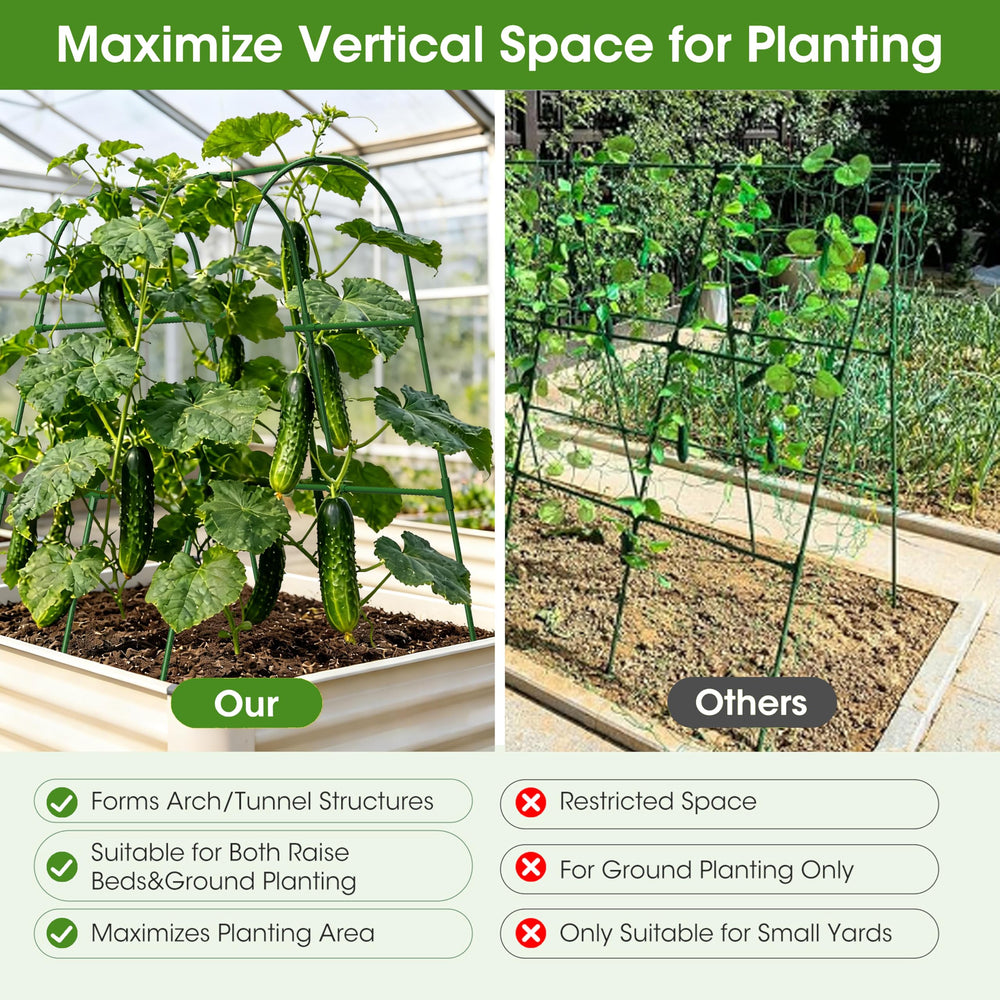 MQHUAYU installed trellis in raised bed maximizing vertical growing space