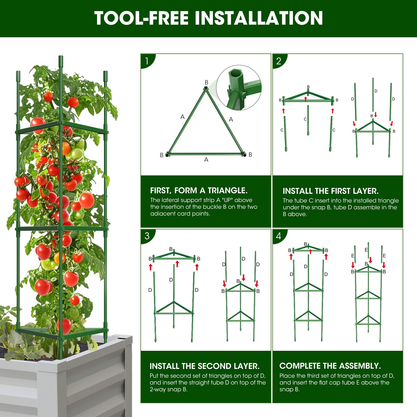 MQHUAYU cage with plant ties and tomatoes showing neat vine training and harvest-friendly support