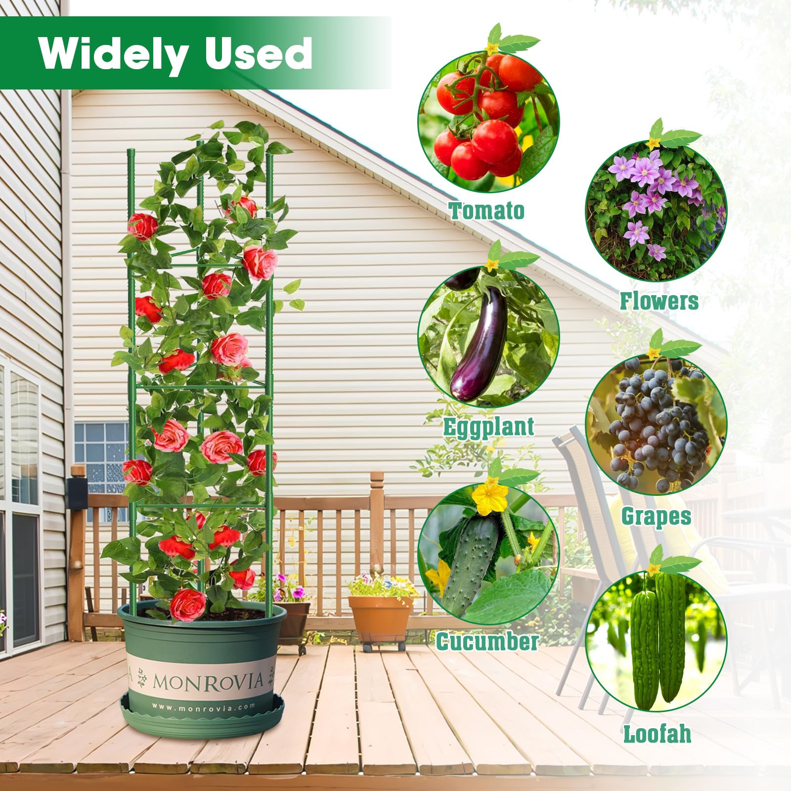 MQUPIN adjustable internal shelf positioned to support heavy fruiting branches