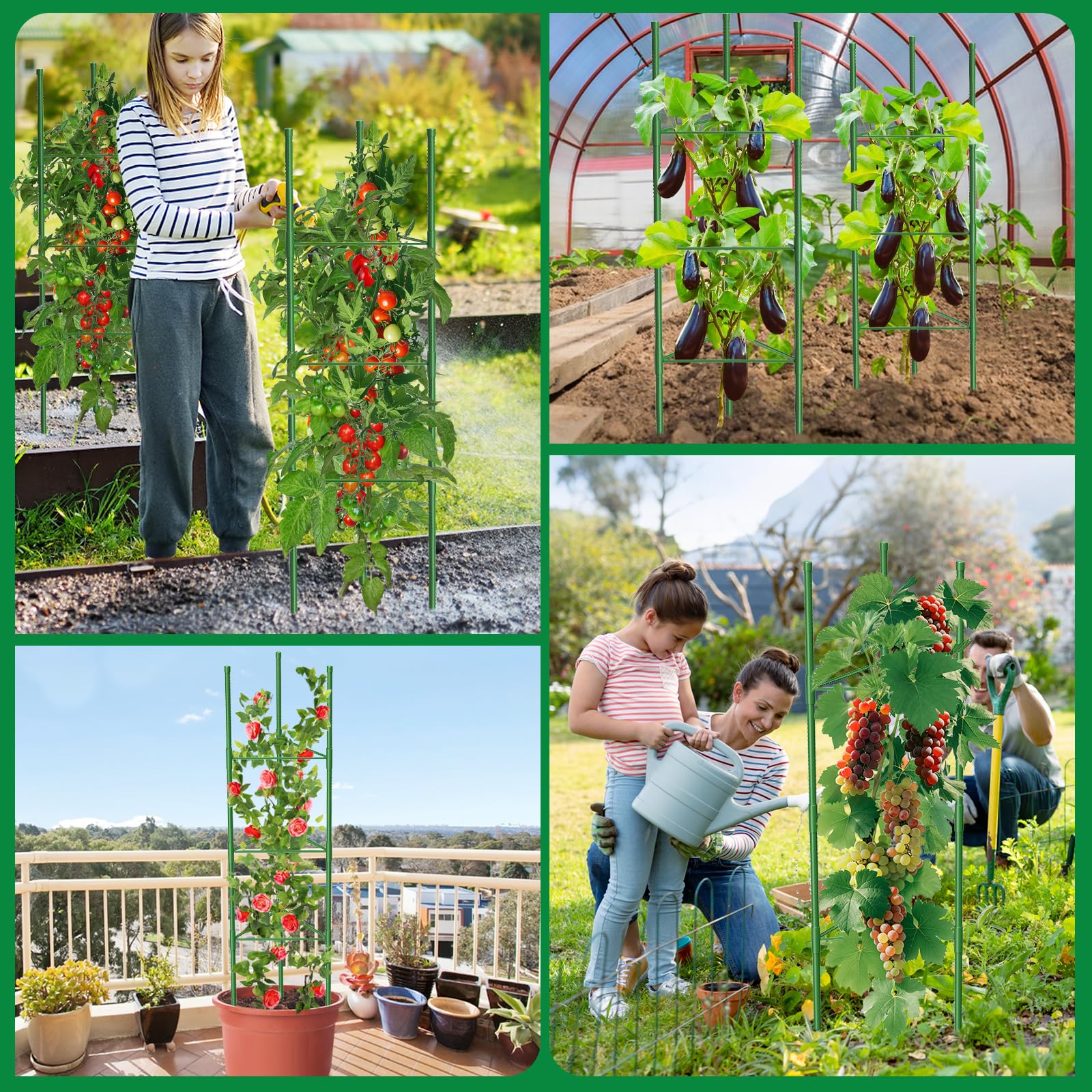 MQUPIN cage in garden with tomato vines benefiting from vertical support