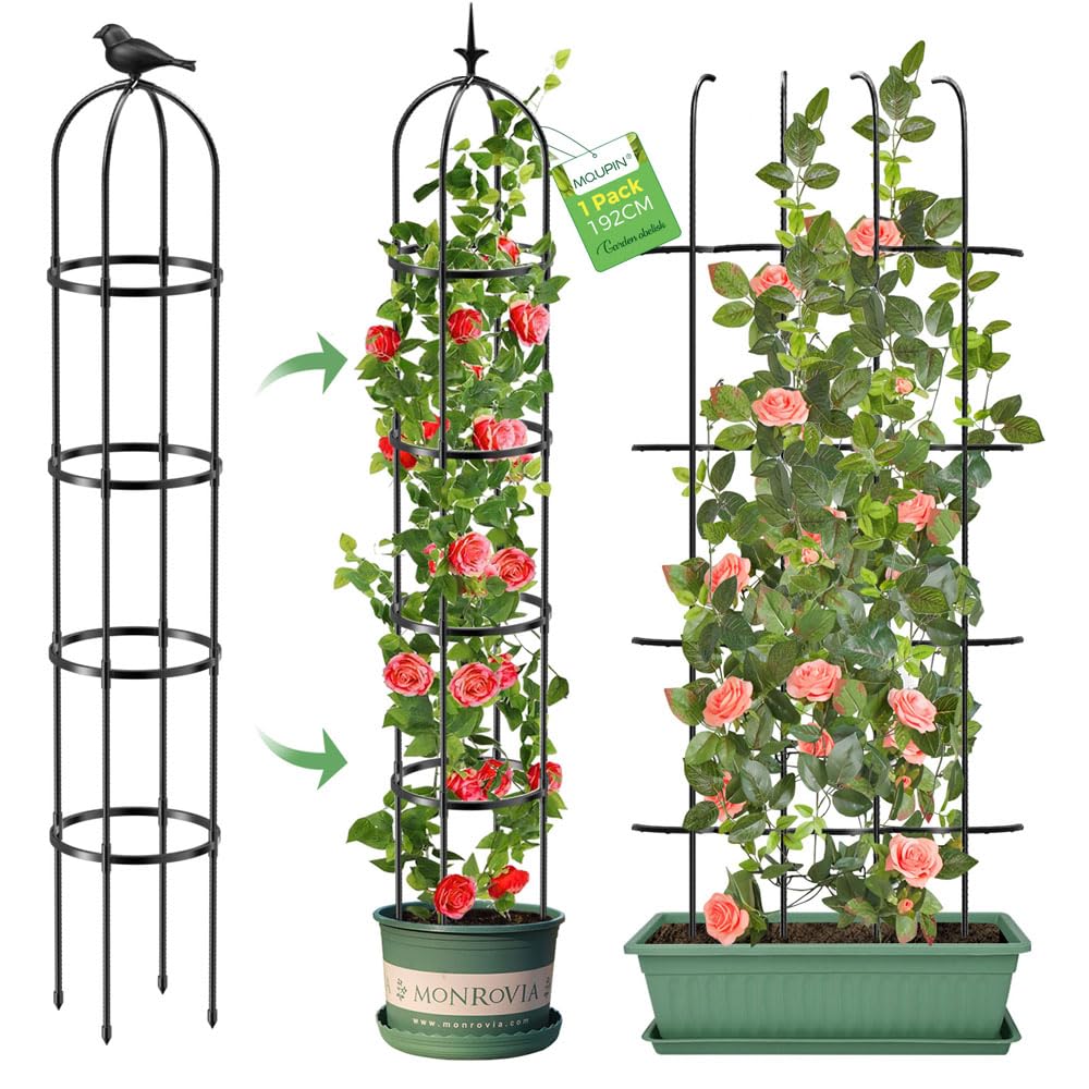 MQUPIN obelisk front view showing slim vertical support and height