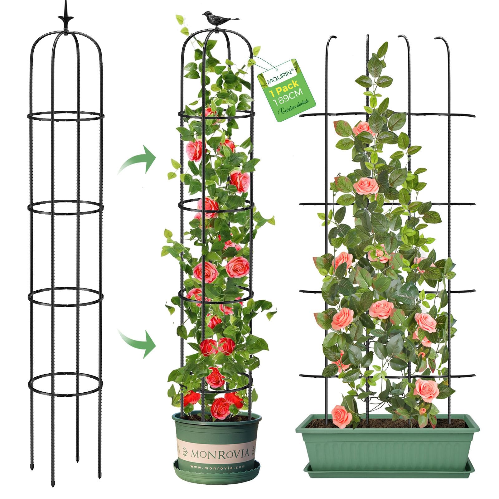 MQUPIN front view tall obelisk showing vertical support for climbing plants