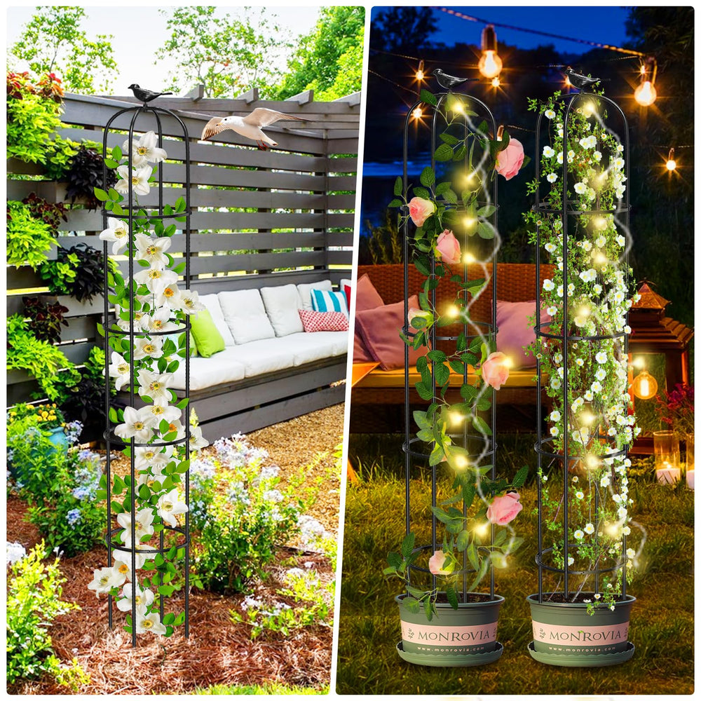 MQUPIN obelisk supporting climbing rose for decorative garden display