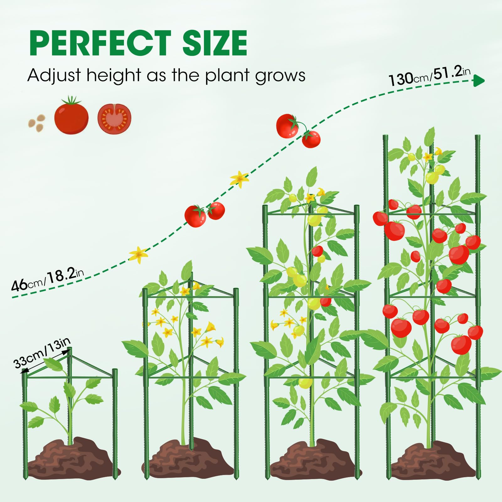 MQUPIN beside a standard pot showing height and scale for container gardening