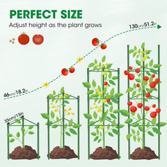 MQUPIN beside a standard pot showing height and scale for container gardening