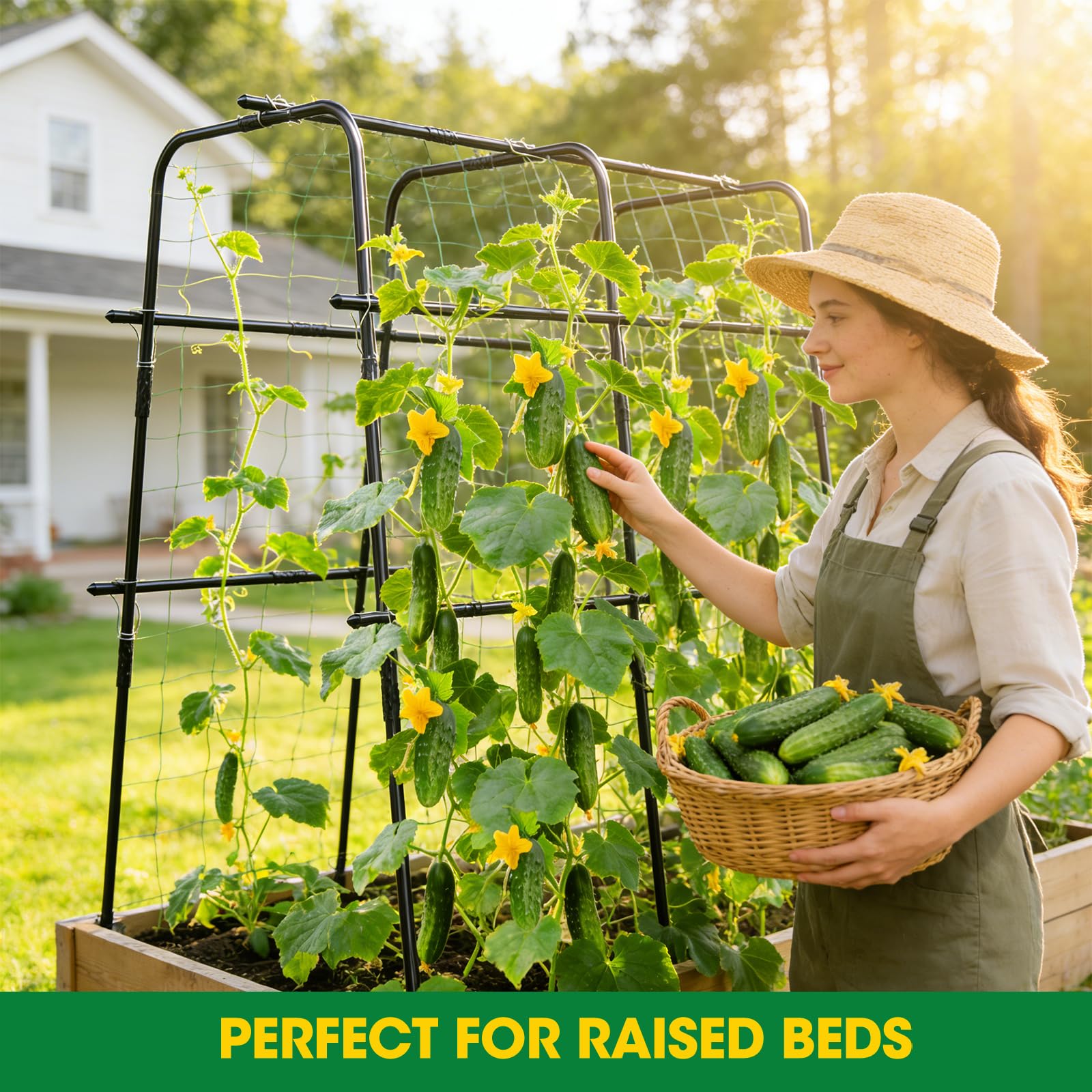 MQUPIN trellis installed in a raised bed improving airflow and growth