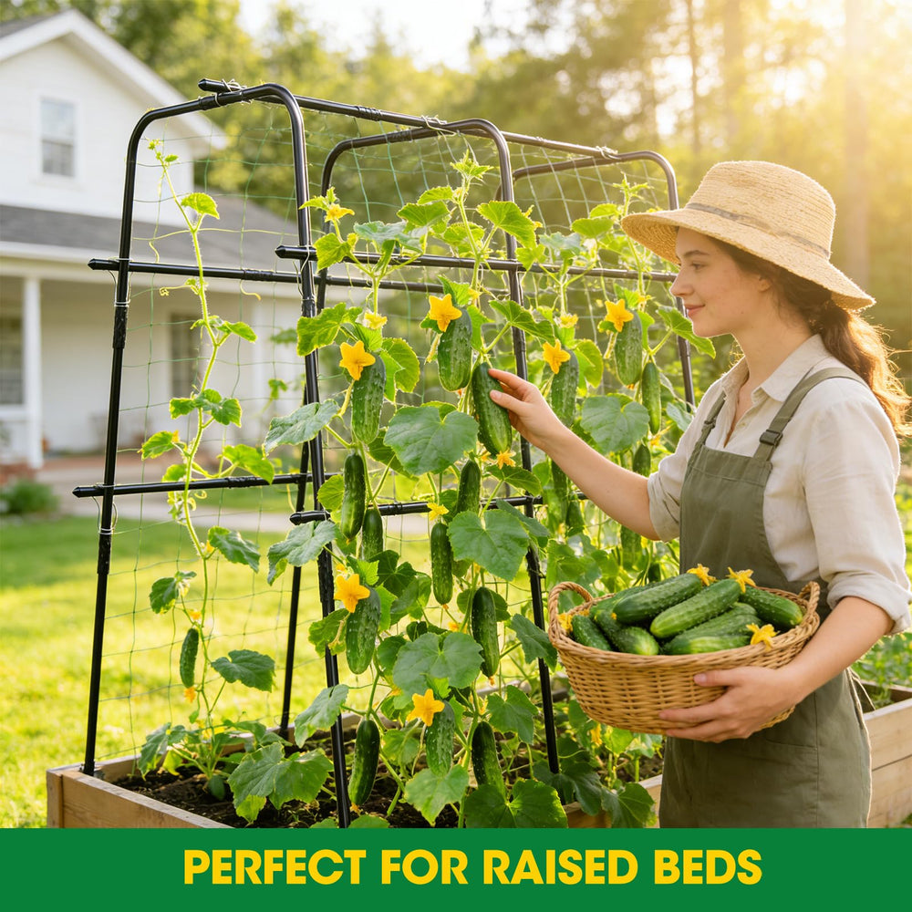 MQUPIN trellis installed in a raised bed improving airflow and growth