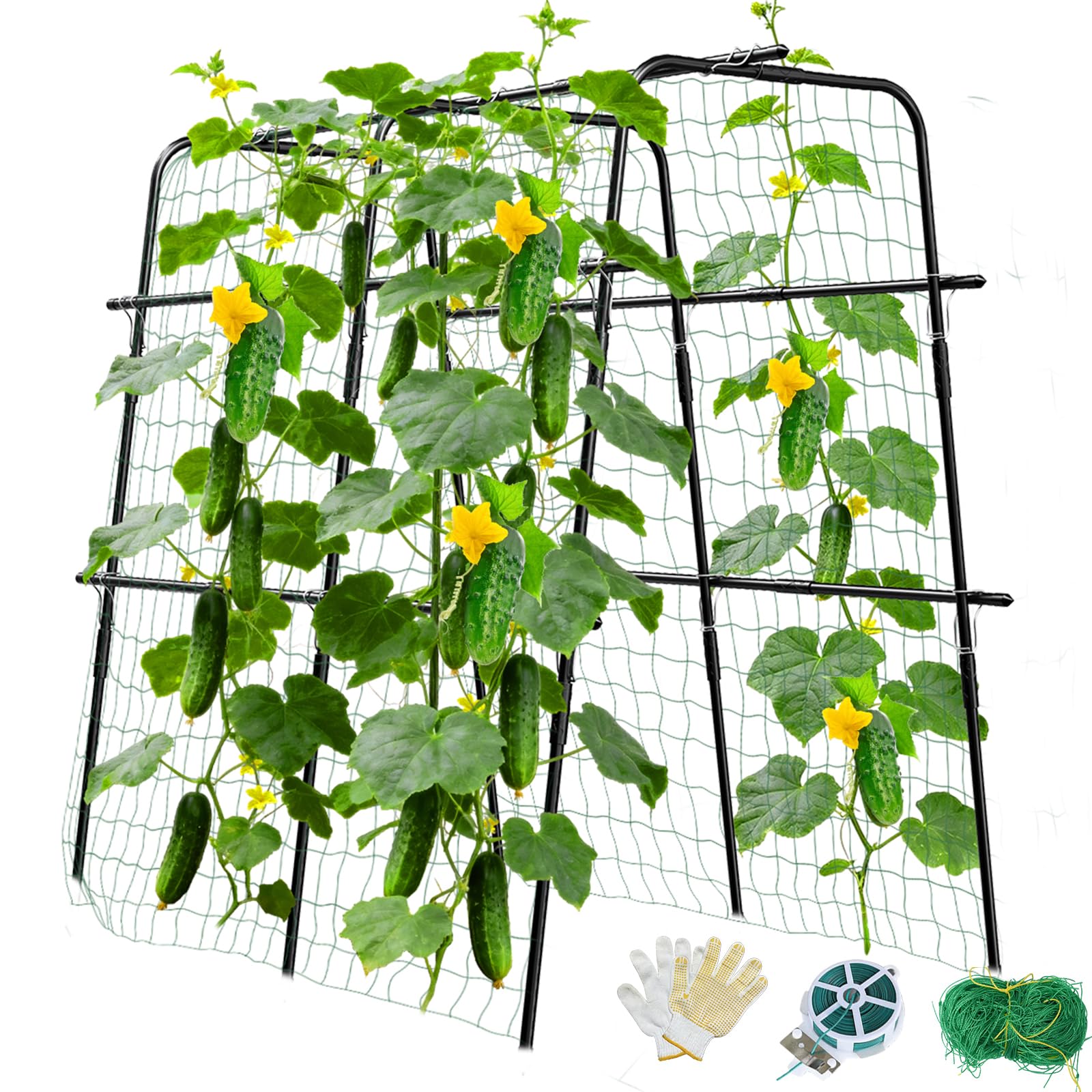 MQUPIN U-shaped trellis front view showing sturdy frame and arch stability