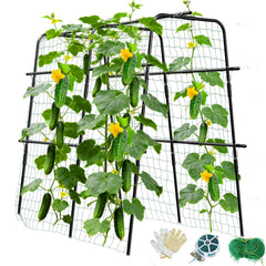 MQUPIN U-shaped trellis front view showing sturdy frame and arch stability