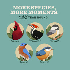 Mr. Bird included hanger detail showing easy setup and tidy display