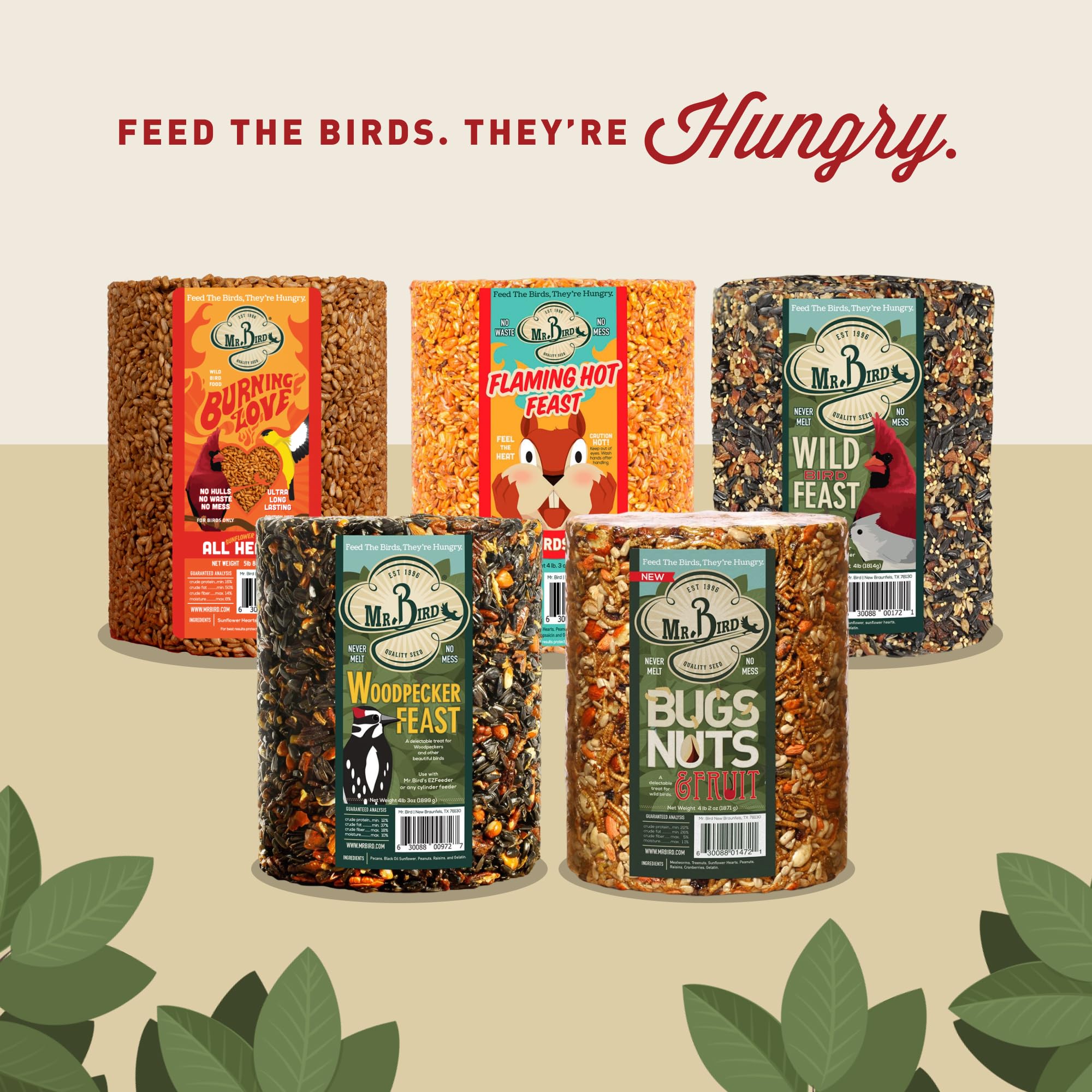 Mr. Bird feeder with cardinals and woodpeckers feeding, draws diverse species